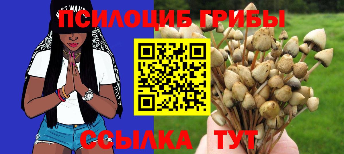 Серов  Псилоцибиновые грибы прущие грибы  даркнет сайт  Псилоцибиновые грибы Cubensis  Вход с VPN 